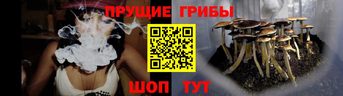 Псилоцибиновые грибы MAGIC MUSHROOMS  Вход с VPN  Юрга 